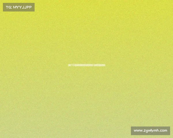 拜仁16岁后卫基亚拉新赛季表现出色 或迎更多出场机会