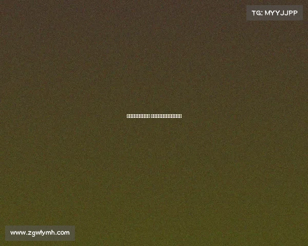 米兰高度评价霍伊伦 下周将与其经纪人展开接洽